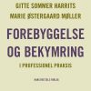 Forebyggelse Og Bekymring - Gitte Sommer Harrits - Bog
