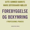 Forebyggelse og bekymring (Bog)