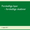 Forskellige byer - forskellige skæbner (Bog)