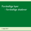 Forskellige byer - forskellige skæbner (E-bog)