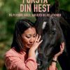 Forstå Din Hest - Ditte Young - Bog