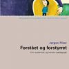 Forstået og forstyrret (E-bog)