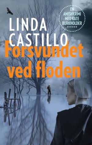 Forsvundet ved floden (E-bog)