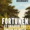 Fortunen: et skilderi fra fortid og nutid (E-bog)