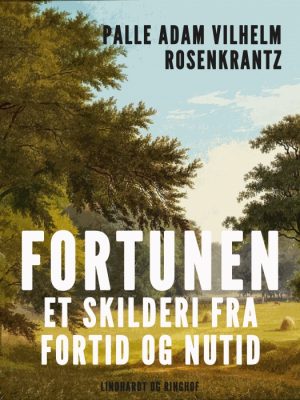 Fortunen: et skilderi fra fortid og nutid (E-bog)