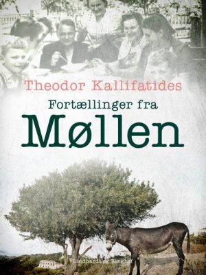 Fortællinger fra Møllen (E-bog)