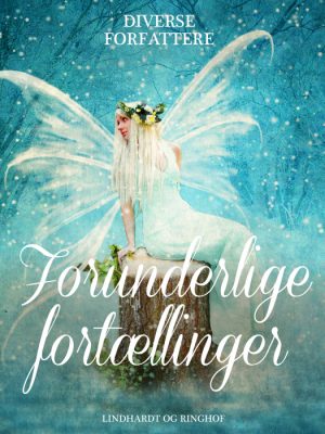 Forunderlige fortællinger (E-bog)