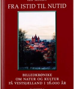 Fra Istid Til Nutid - Leif Sestoft - Bog