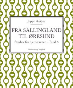 Fra Sallingland til Øresund: Studier fra hjemstavnen. Bind 6 (E-bog)