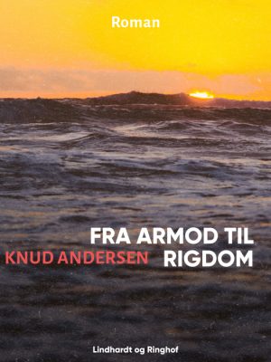 Fra armod til rigdom (Bog)