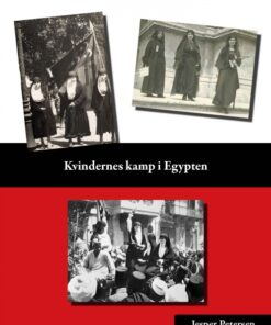 Fra harem til islamisk feminisme (E-bog)