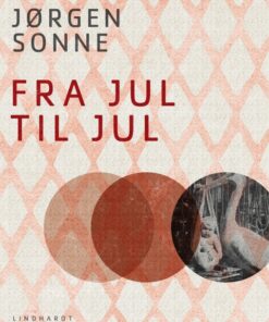 Fra jul til jul (E-bog)