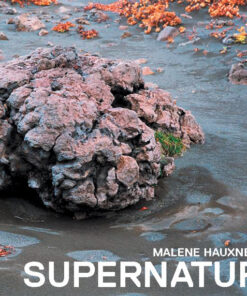 Fra naturlig natur til SUPERNATUR (Bog)