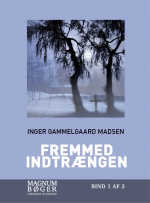 Fremmed indtrængen (storskrift) (Bog)