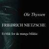 Friedrich Nietzsche (E-bog)
