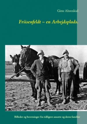 Friisenfeldt - En Arbejdsplads - Gitte Ahrenkiel - Bog