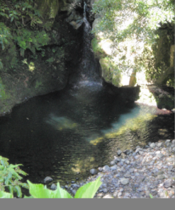 Frodige Vulkanske Azorer (E-bog)