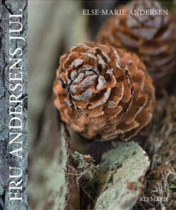 Fru Andersens Jul - Else-marie Andersen - Bog