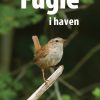 Fugle I Haven (Bog)