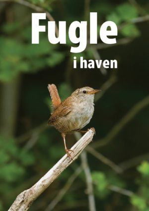 Fugle I Haven (Bog)