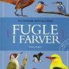 Fugle i farver (Bog)