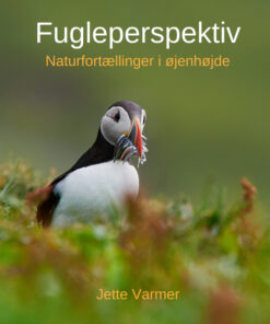 Fugleperspektiv (E-bog)