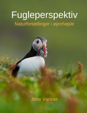 Fugleperspektiv (E-bog)