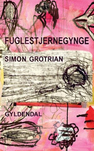 Fuglestjernegynge - Simon Grotrian - Bog