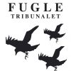 Fugletribunalet - Agnes Ravatn - Bog