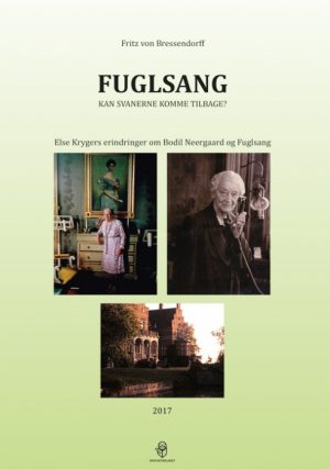 Fuglsang. Kan svanerne komme tilbage? (Bog)