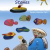 Fun Painting Stones (Bog)