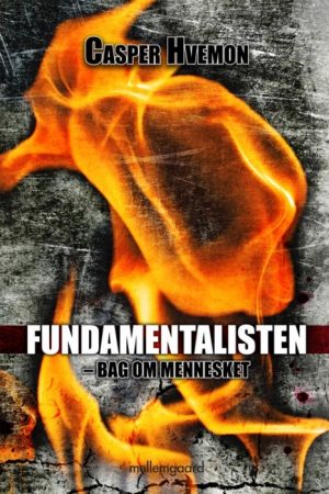Fundamentalisten (E-bog)