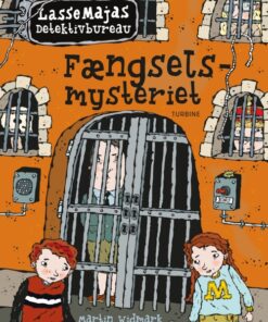 Fængselsmysteriet (Bog)