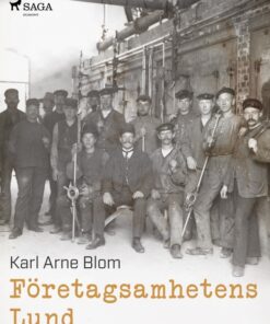 Företagsamhetens Lund (E-bog)