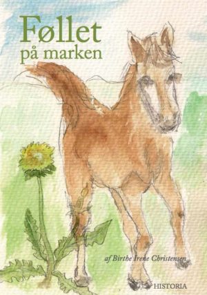 Føllet På Marken (Bog)