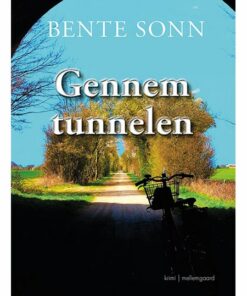 GENNEM TUNNELEN (E-bog)