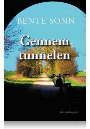 GENNEM TUNNELEN (E-bog)