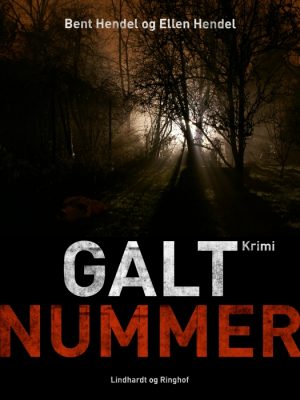 Galt nummer (E-bog)