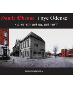 Gamle Odense i nye Odense (Bog)