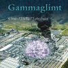 Gammaglimt (Bog)