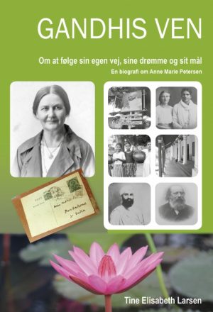 Gandhis ven (Bog)
