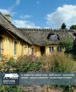Gefjon Nr. 2 2017 - Bog