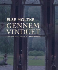 Gennem vinduet (E-bog)