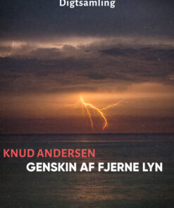 Genskin af fjerne lyn (Bog)