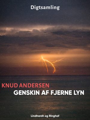 Genskin af fjerne lyn (Bog)