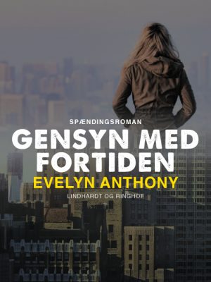 Gensyn med fortiden (Bog)