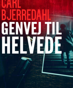 Genvej til helvede (E-bog)