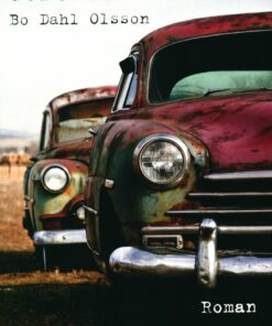 Geronimos Hævn - Bo Dahl Olsson - Bog