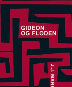 Gideon og floden (Bog)