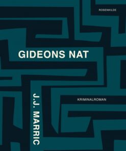 Gideons nat (E-bog)
